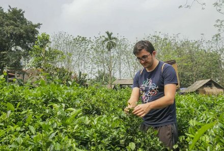 Vietnam Familienreise - Vietnam for family individuell - Bauer auf einer Teeplantage