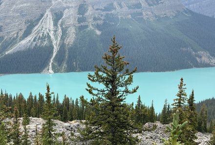 Westkanada Camping for family - Rocky Mountains mit Kindern - Naturkulisse