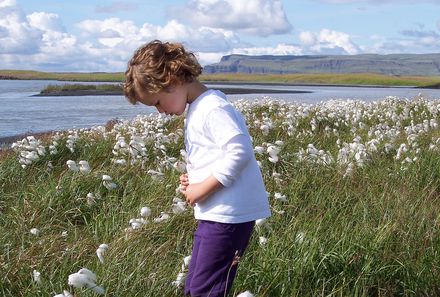 Island Familienreise - Island for family individuell - Kind im Blumenfeld