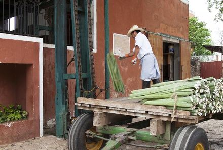 Mexiko Familienreise - Hacienda Sotuta de Peon Sisalherstellung