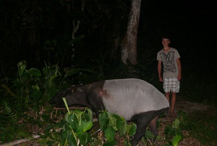 Malaysia mit Teenagern - Taman Negara Nationalpark Nachtwanderung Tapir