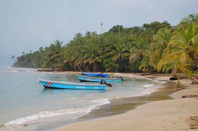 Costa Rica mit Kleinkindern - Südkaribik - Puerto Viejo de Talamanca - Strand