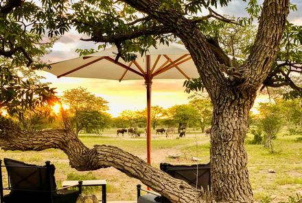 Namibia mit Kindern - Namibia individuell - Etosha Nationalpark - Etosha Oberland Lodge