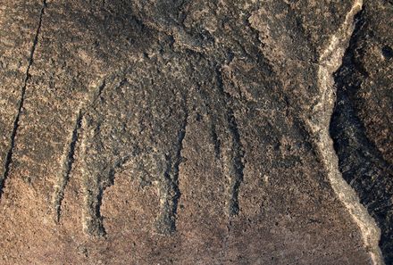 Namibia Familienreise - Namibia individuell - Höhlenwand Elefant