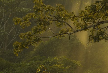 Galapagos Familienreise - Galapagos for family - Amazonas Forest