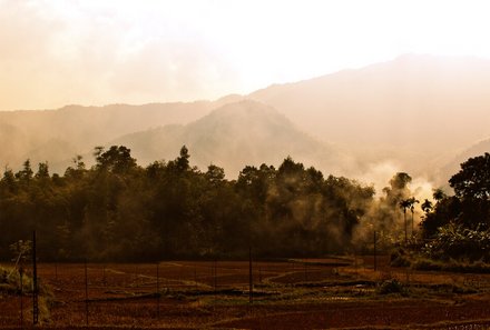 Laos und Vietnam Familienreise - Laos und Vietnam Reise mit Kindern - Wanderung in den Bambuswald