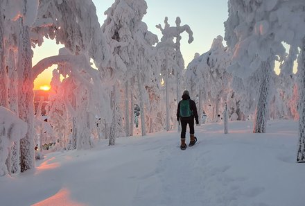 Finnland Familienurlaub - Finnland for family Winter - Schneeschuhwanderung durch verschneite Bäume