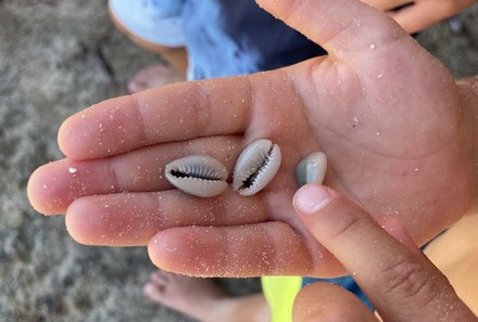 Kenia Familienreise Verlängerung - Kenia for family - Chale Island - The Sands at Chale Island - Muscheln