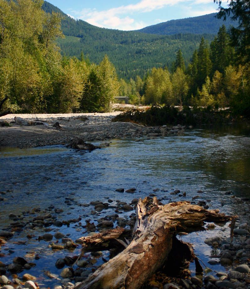 Single mit Kind Reise - Kanada alleinreisend mit Kind erleben