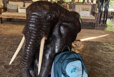 Familienreise Tansania - Tansania for family individuell deluxe - Elefant mit Rucksack