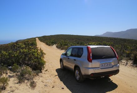 Garden Route mit Kindern  - Die Gardenroute im Mietwagen erkunden