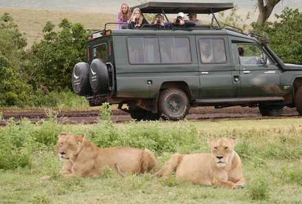 Uganda Familienurlaub - Uganda Family & Teens - Kibale Forest Nationalpark - Leute beobachten bei Jeep Safari Löwen