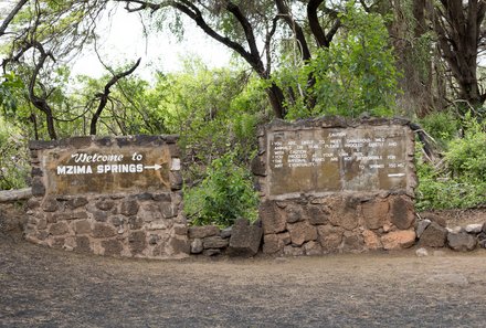 Kenia Familienreise - Kenia for family - Pirschfahrt durch den Tsavo West Nationalpark - Mzima Springs Eingang