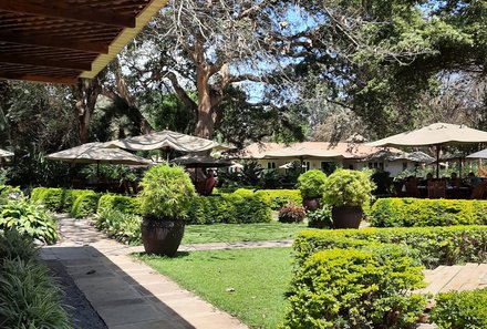 Familienreise Tansania - Tansania for family individuell deluxe - Elewana Arusha Coffee Lodge - Gartenanlage mit Sonnenschirmen