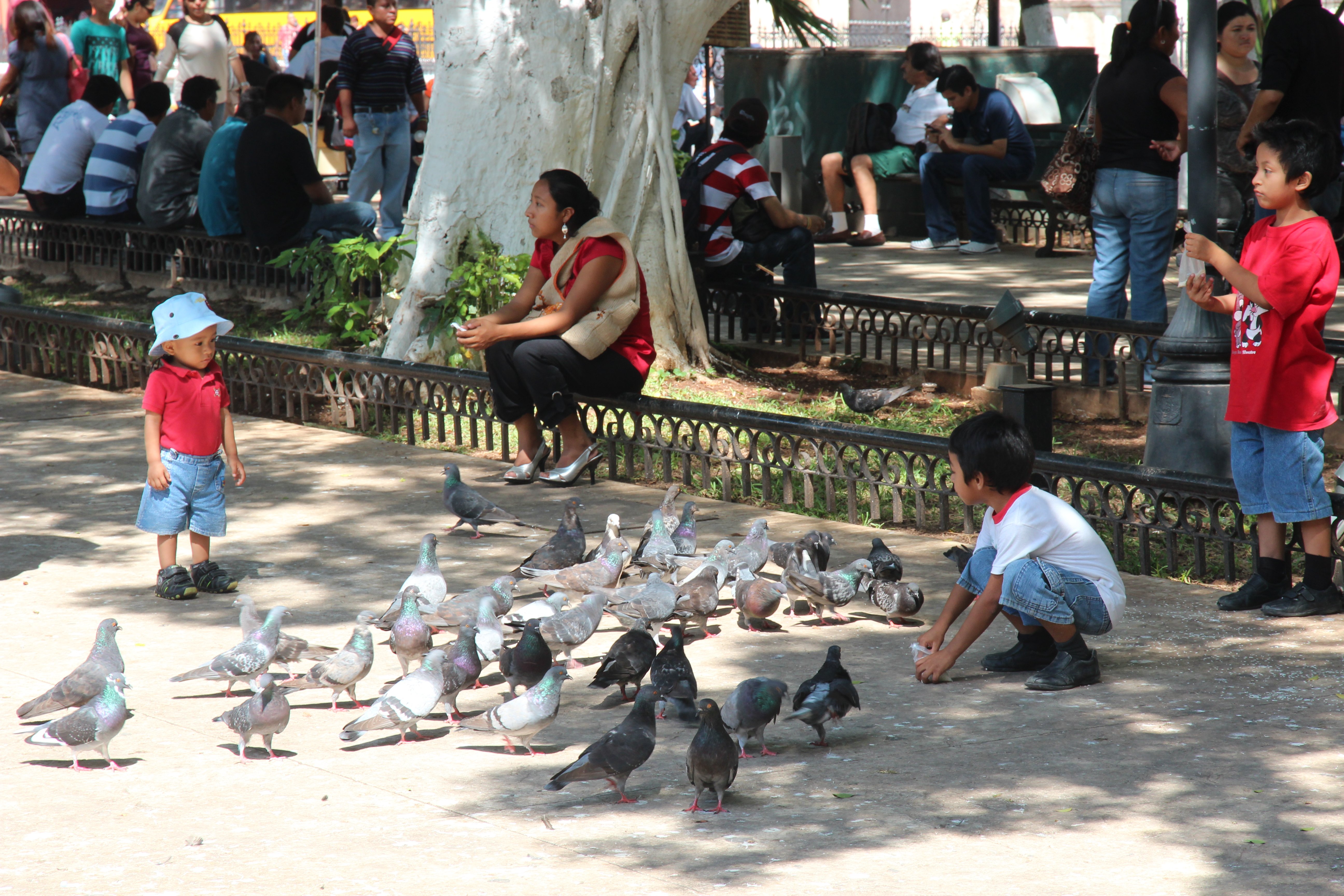 Mexiko mit Kindern - Zocalo Merida