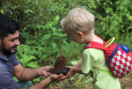 Costa Rica mit Kindern - Kind hält Baum