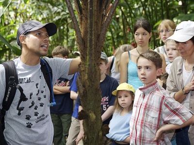 Familienreise Costa Rica - Costa Rica for family - Reiseleiter erklärt Baum