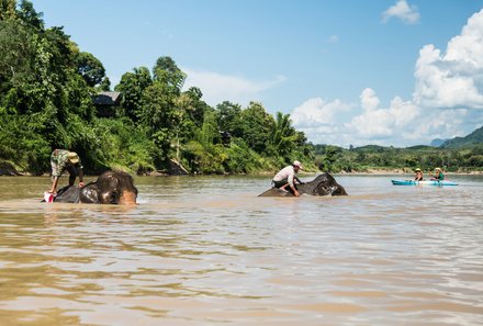 Laos und Vietnam Familienreise - Laos und Vietnam Reise mit Kindern - Elefantenpfleger im Wasser