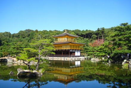 Japan mit Kindern - Japan for family - Goldener Pavillion Kyoto