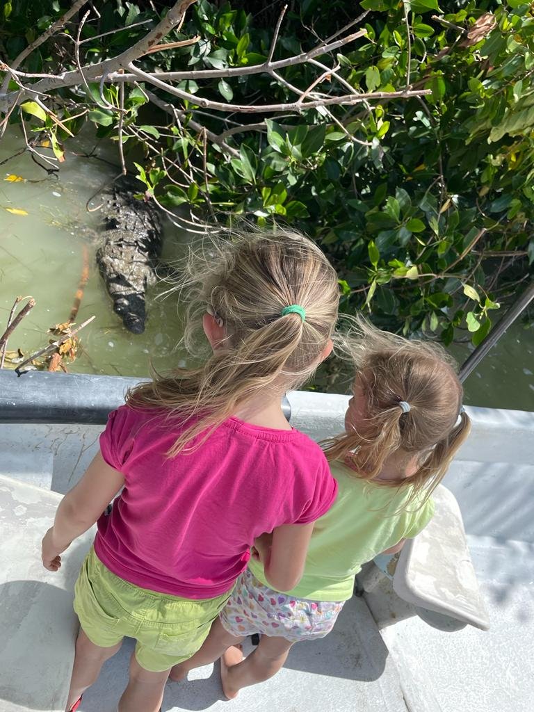 Mexiko mit Kindern - Mexiko Urlaub mit Kindern - Kinder schauen auf Krokodil bei Río Lagartos
