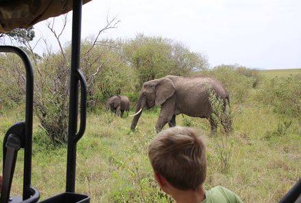 Kenia Familienreise - Kenia for family - Safari Elefant