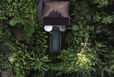 Bali for family deluxe - Familienreise Bali mit Kindern - Munduk Moding Plantation - Pool in tropischer Umgebung