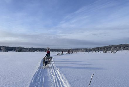 Schweden for family Winter - Hundeschlittentour - Schnee und Huskys