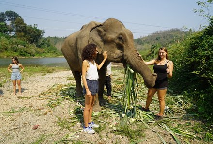 Laos und Vietnam Familienreise - Laos und Vietnam Reise mit Kindern - Elefantenausflug Teenager