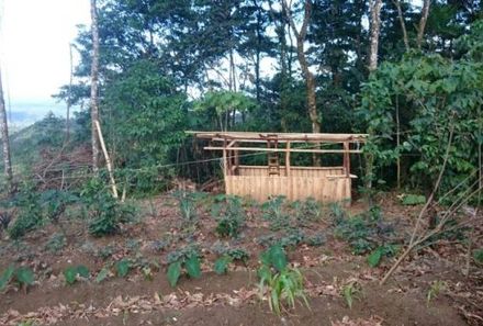 Costa Rica mit Kindern - Hühnerstall