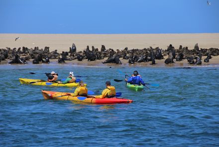 Namibia mit Jugendlichen - Kajak-Tour Robben - Walvis Bay