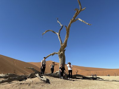 Namibia for family individuell - Namibia Familienreise - Baum in Namibia