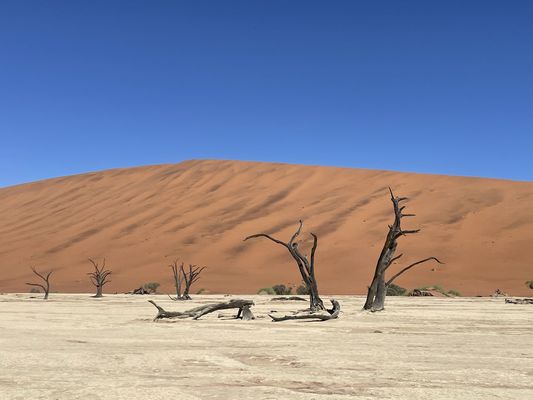 Namibia for family individuell - Namibia, Botswana & Simbabwe