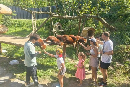 China Familienreise - China mit Jugendlichen -  Pandas füttern