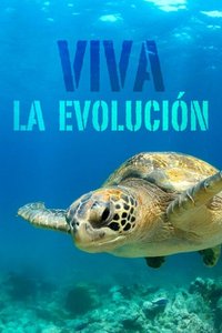 For Family Reisen Blog - Kategorie "Südamerika" - Schildkröte unter Wasser