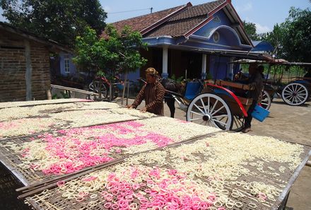 Java & Bali mit Jugendlichen - Traditionelle Landwirtschaft Java