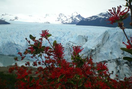 Chile & Argentinien Familienreise - Chilie & Argentinien Family & Teens - Perito Moreno Gletscher