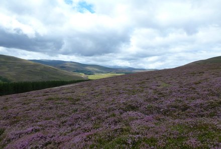 Schottland Familienreise - Schottland mit Kindern - Flora Highlands