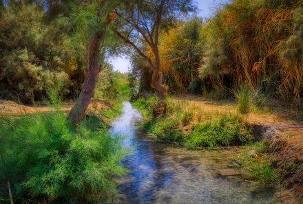 Jordanien Rundreise mit Kindern - Jordanien for family - Natur im Azraq Reserve