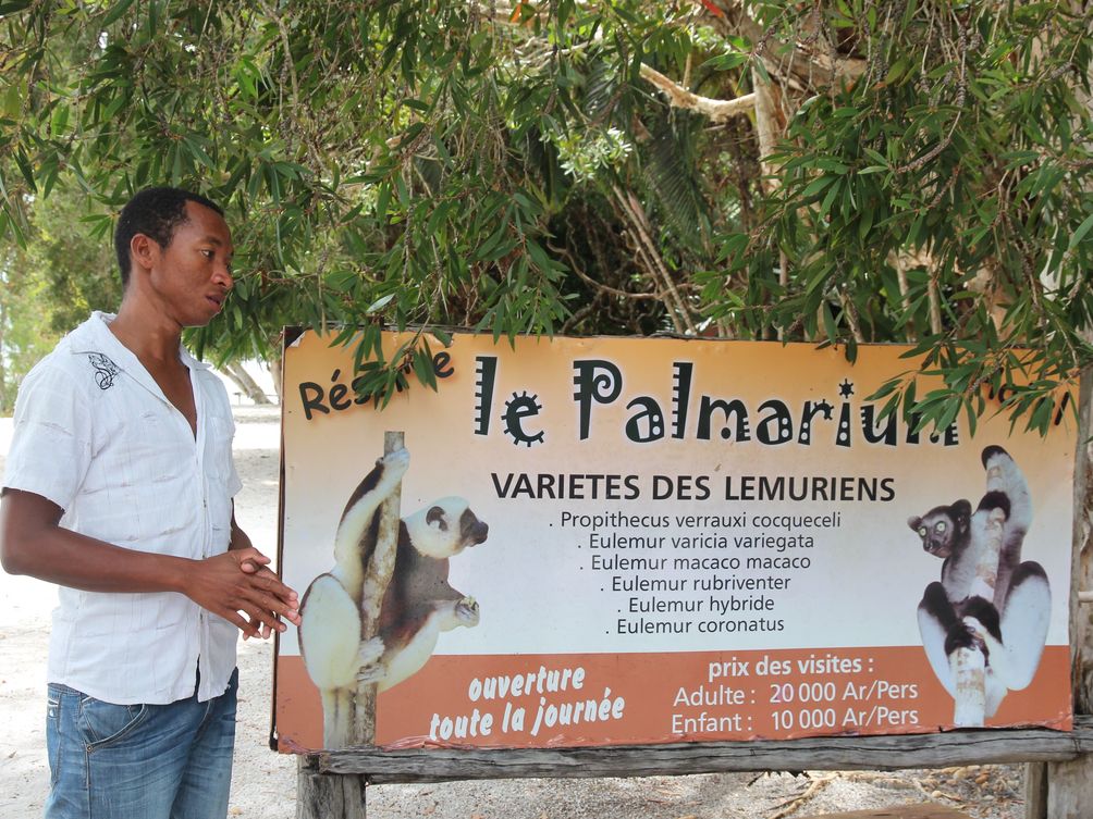 Madagaskar mit Kindern - Guide Palmarium