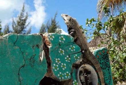 Mexiko Familienreise - Mexiko for young family individuell - Insel Holbox