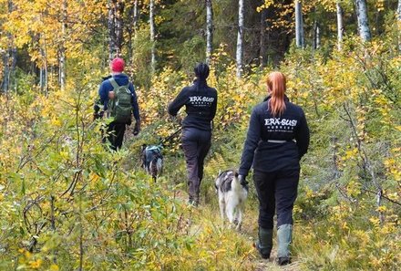 Finnland Familienreise - Finnland for family - Erkundung der Natur - Wandern mit Huskys