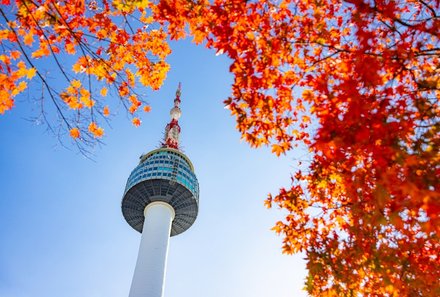 Südkorea for family - Naksan Park - Aussichtsplattform des N Seoul Tower