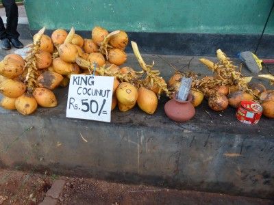 Sri Lanka mit Kindern - Kokosnüsse