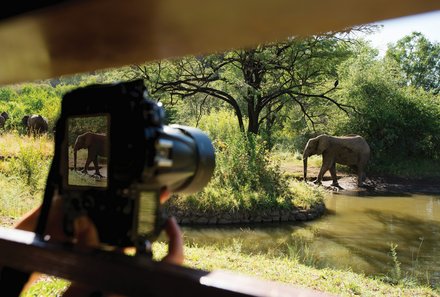 Südafrika Familienreise - Südafrika for family - Pilanesberg Nationalpark - Kwa Maritane Bush Lodge - Wasserloch