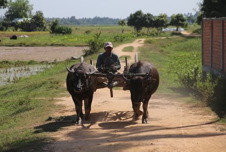 Vietnam & Kambodscha Familienreise - Einheimischer auf Karren