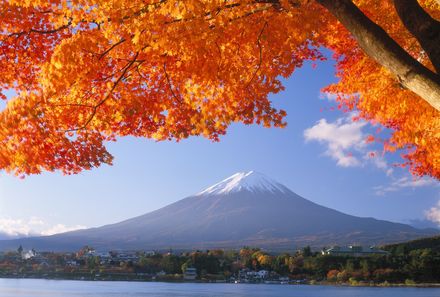 Japan mit Kindern - Japan for family - Herbstlaubfärbung