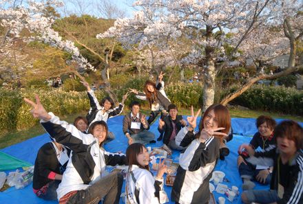 Japan mit Kindern - Japan for family - Kirschblütenfest
