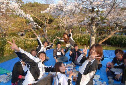 Japan mit Kindern  - Japan for family - Kirschblütenfest