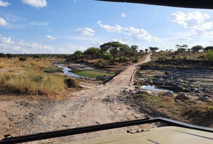 Serengeti mit Kindern individuell - Best of Familiensafari Serengeti - Erkundung Tarangire Nationalpark