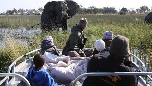 Familiensafaris - Die 6 besten Safari-Gebiete für Kinder - Bootstour mit Kindern im Chobe Nationalpark